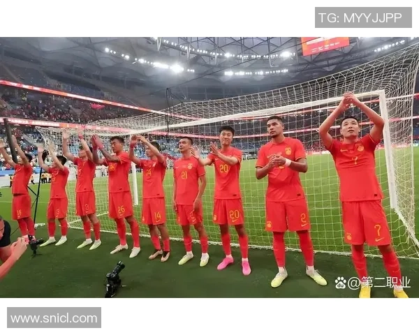 国内足球明星归来引发热潮球迷期待新赛季精彩表现