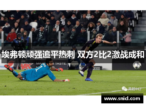 埃弗顿顽强追平热刺 双方2比2激战成和