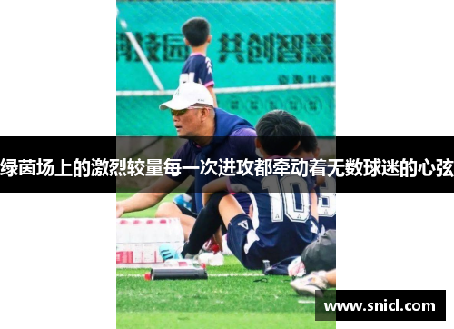绿茵场上的激烈较量每一次进攻都牵动着无数球迷的心弦