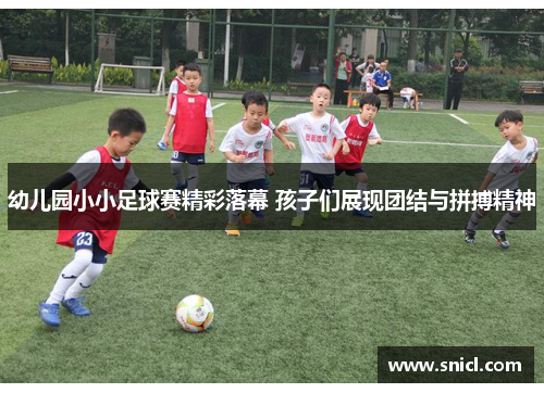 幼儿园小小足球赛精彩落幕 孩子们展现团结与拼搏精神