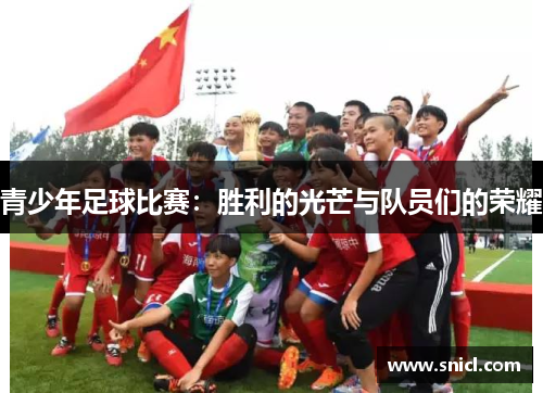 青少年足球比赛：胜利的光芒与队员们的荣耀